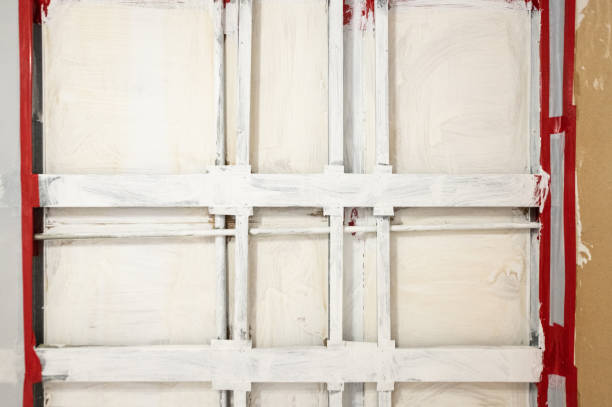 Professional Mold Removal in Thomasville, AL