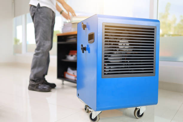 Mold Odor Removal Services in Thomasville, AL
