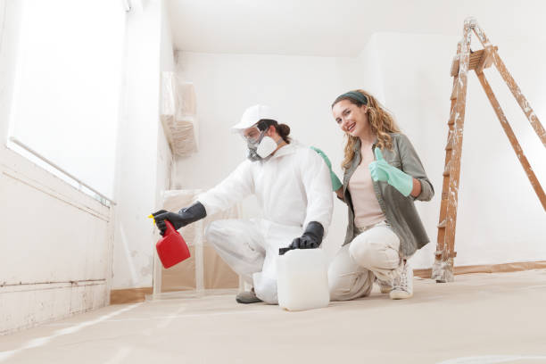 Best Mold Odor Removal Services  in Thomasville, AL